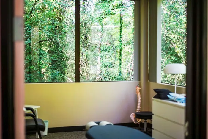 Burnett Chiropractic & Massage Inc. Picture 3