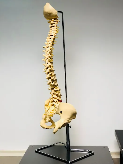 Elevation Chiropractic and Rehabilitation Picture 7