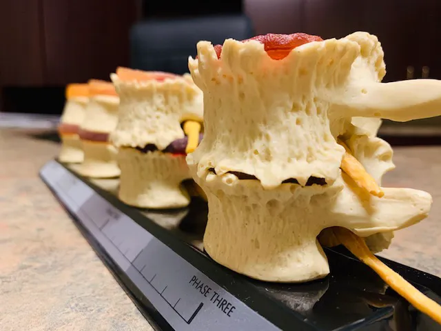 Access Health Centers - Spine + Joint Injury / Wellness Picture 5