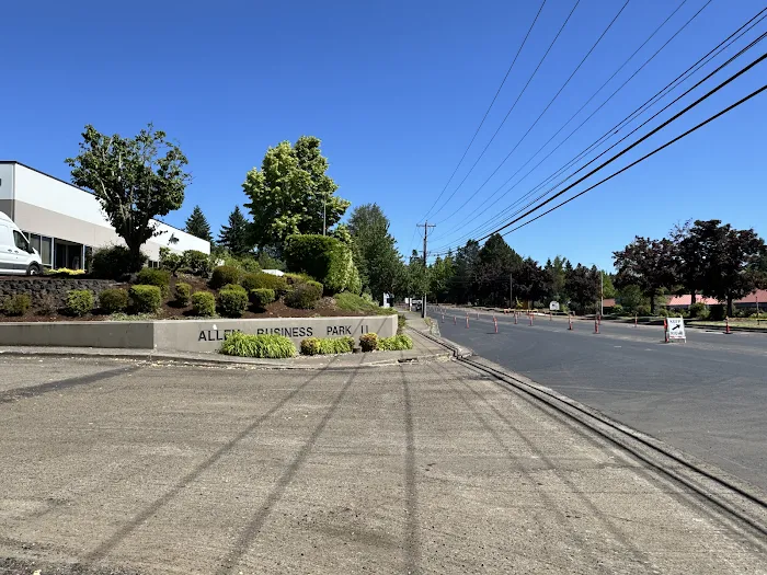 Prolific Wellness Chiropractic and Sports Rehab Picture 8