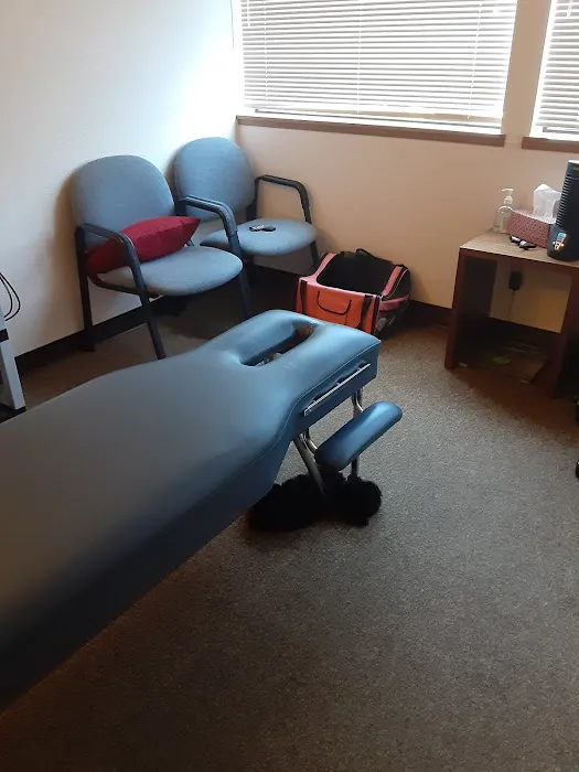 Chirocare Chiropractic Clinic, P.C. Picture 1