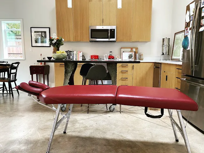 Nolan Mobile Chiropractic Picture 1