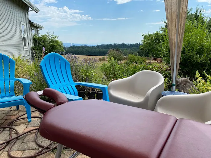 Nolan Mobile Chiropractic Picture 2