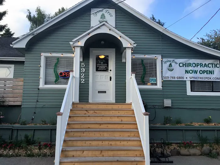 Spine Tree Chiropractic Picture 1