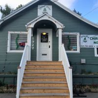 Spine Tree Chiropractic ico