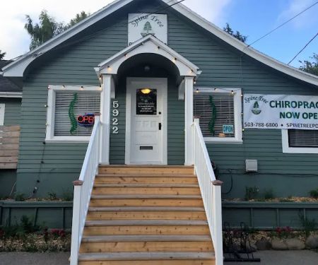 Spine Tree Chiropractic