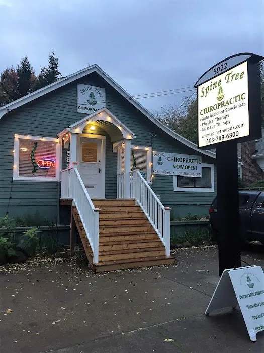 Spine Tree Chiropractic Picture 6