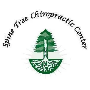 Spine Tree Chiropractic Picture 3