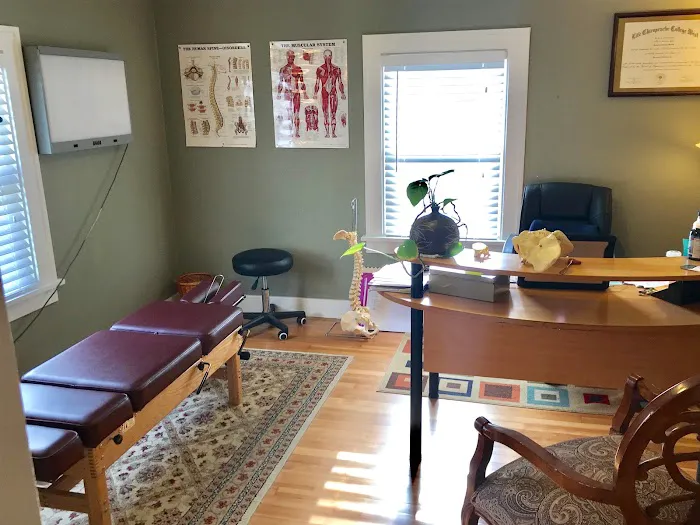Spine Tree Chiropractic Picture 4