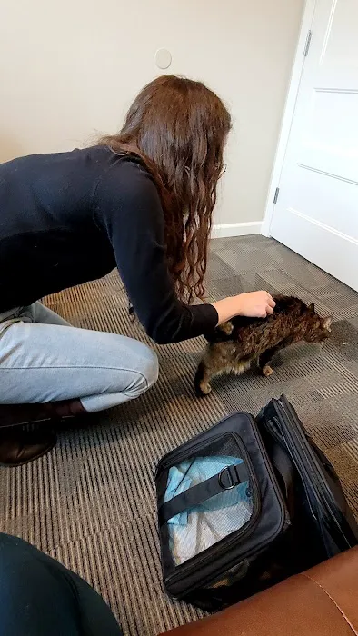 Hands On Chiropractic And Massage Picture 4