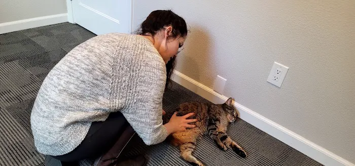 Hands On Chiropractic And Massage Picture 3