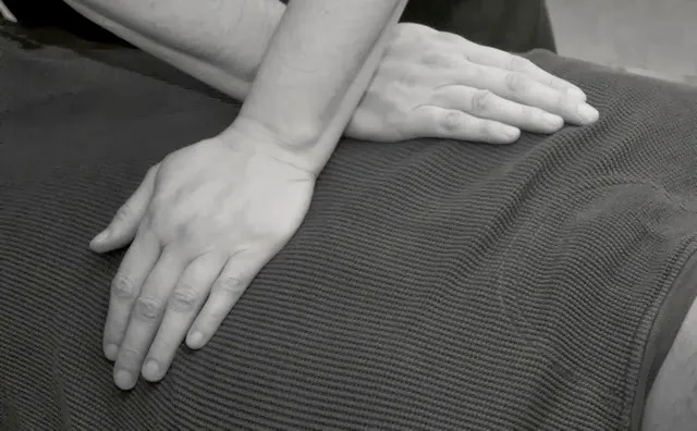 Wildflowers Chiropractic Picture 3