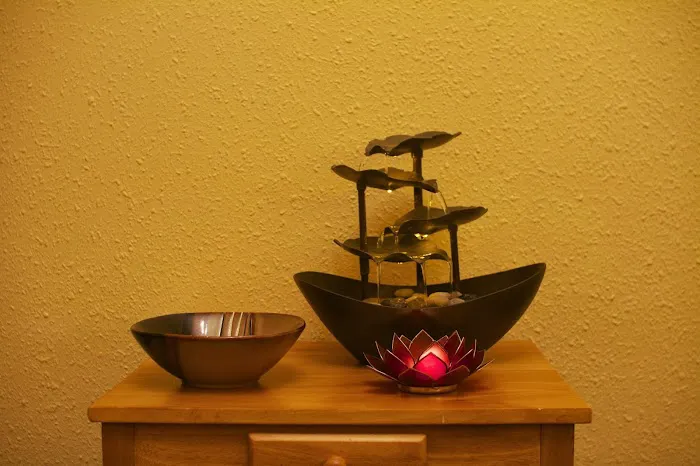 Wildflowers Chiropractic Picture 4