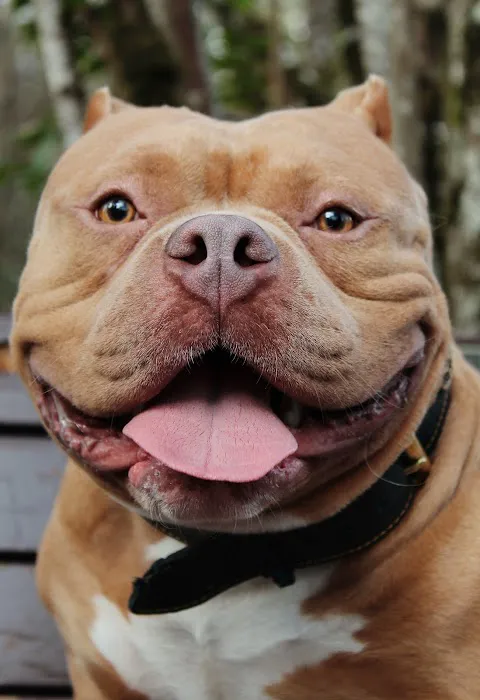 Gentle Chiro Picture 1