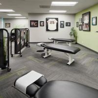 True Potential Chiropractic ico