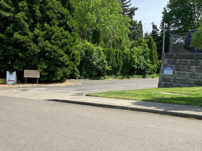 Journey Chiropractic Picture 7