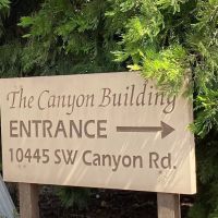 Journey Chiropractic ico