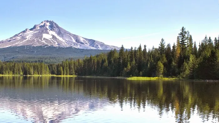 Greenway Chiropractic Clinic Picture 8