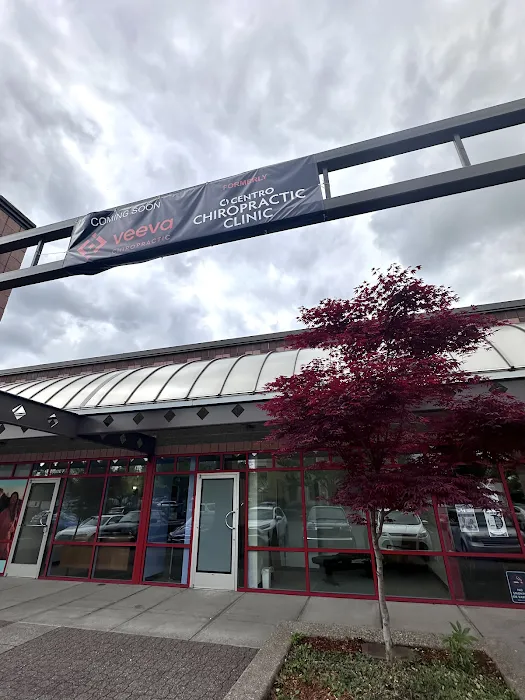 Veeva Chiropractic - Portland (Formerly Centro Chiropractic) Picture 3