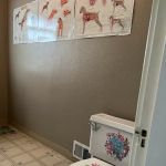Aaxis Health-Chiropractic and Massage
