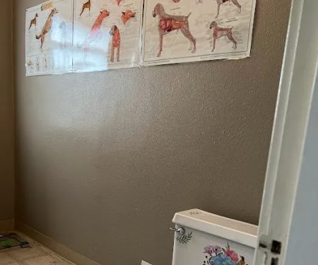Aaxis Health-Chiropractic and Massage