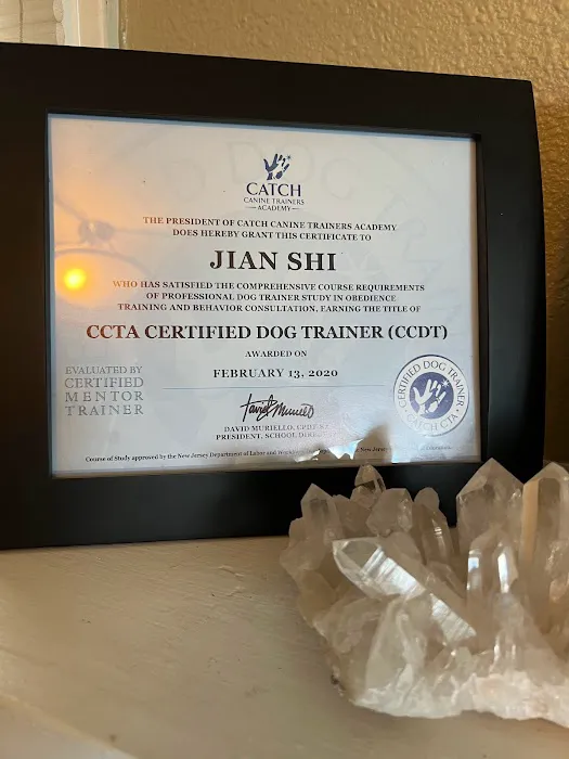 Aaxis Health-Chiropractic and Massage Picture 6