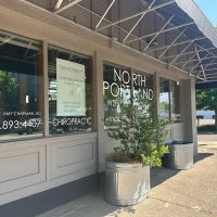 North Portland Wellness Group ico