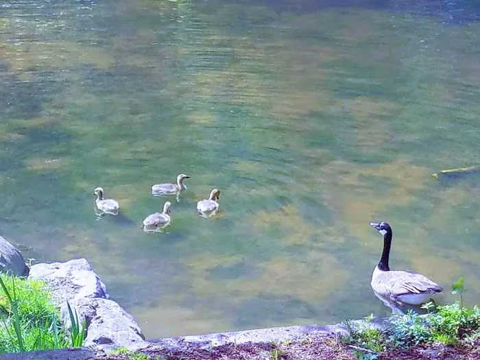 FAHMA Wellness Chiropractic Clinic Picture 4