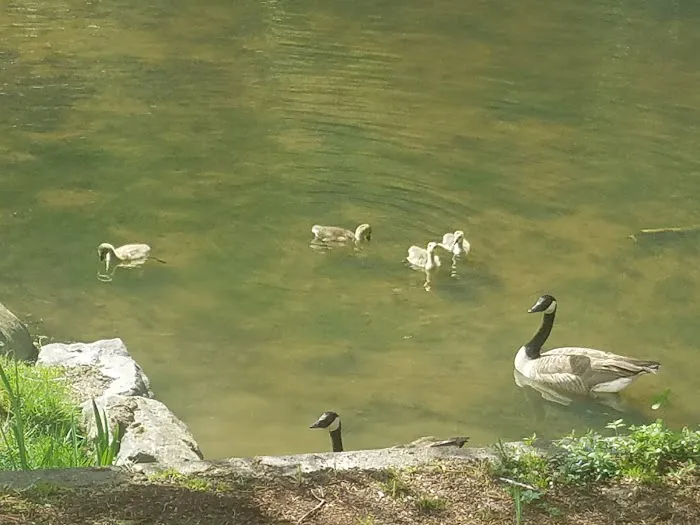 FAHMA Wellness Chiropractic Clinic Picture 2