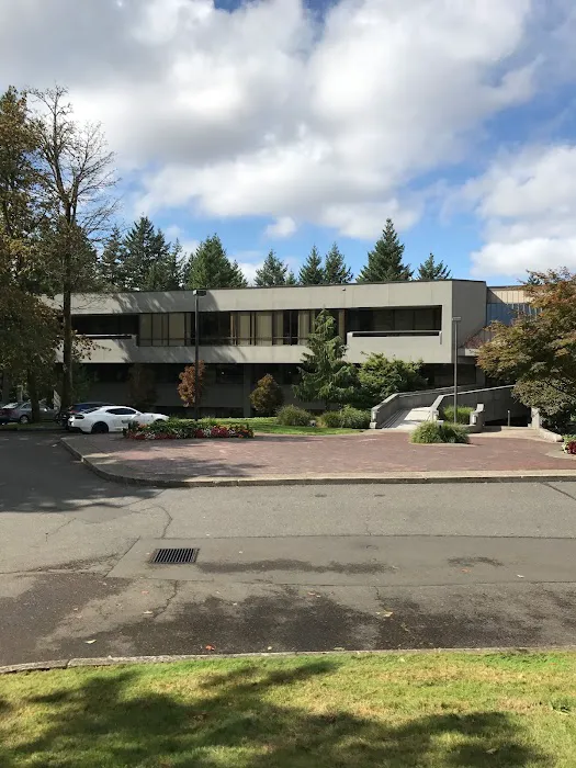 Active Wellness Chiropractic, Dr. Megan DeJana, Dr. Amber Rowald, Dr. Kelsey Hudson Picture 10