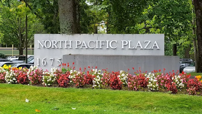 Active Wellness Chiropractic, Dr. Megan DeJana, Dr. Amber Rowald, Dr. Kelsey Hudson Picture 3