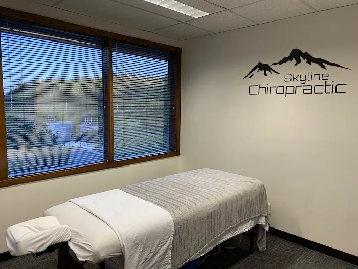 Skyline Chiropractic L.L.C. - Portland Chiropractic Care Picture 1