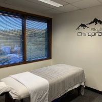 Skyline Chiropractic L.L.C. - Portland Chiropractic Care ico