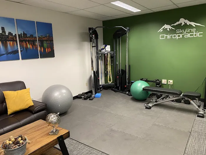 Skyline Chiropractic L.L.C. - Portland Chiropractic Care Picture 2