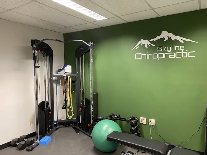 Skyline Chiropractic L.L.C. - Portland Chiropractic Care Picture 4