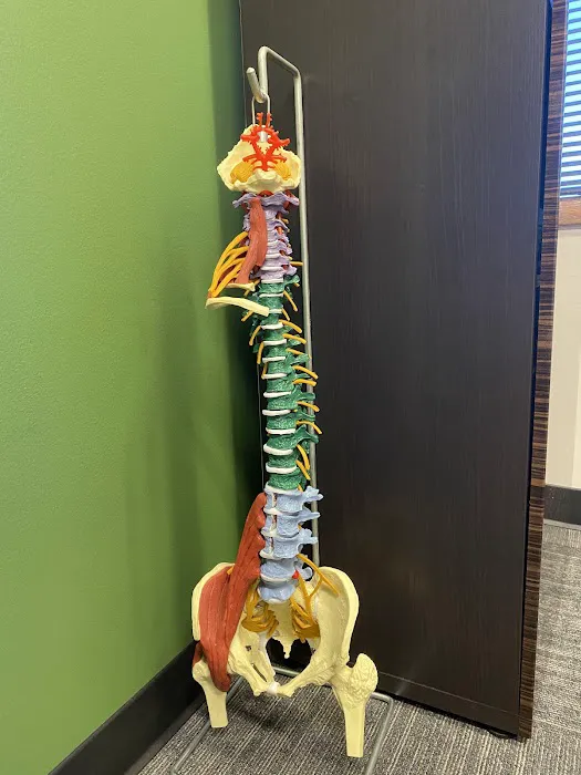 Skyline Chiropractic L.L.C. - Portland Chiropractic Care Picture 7