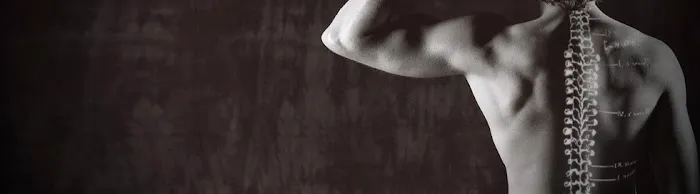 Skyline Chiropractic L.L.C. - Portland Chiropractic Care Picture 5