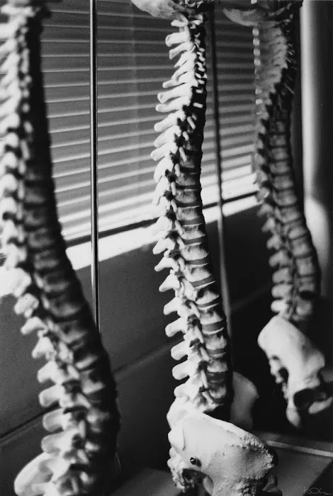 Seth C. Alley, DC, CCSP, CKTP Picture 1