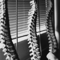 Seth C. Alley, DC, CCSP, CKTP ico