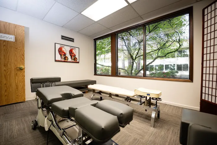 Portland Specific Chiropractic | Dr. Paulina N. Kaminski | Dr. Nikolai A. Young | Blair Upper-Cervical Care Picture 3