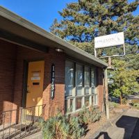 Longevity Chiropractic ico