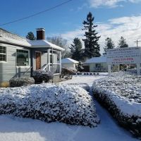 Senh K. Chang, DC ico