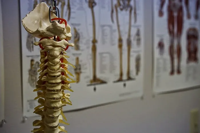 New Spine Chiropractic Picture 4