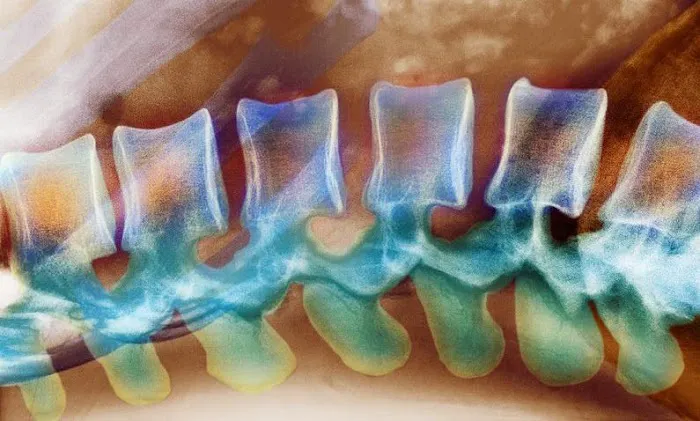 Source Health Center Picture 2