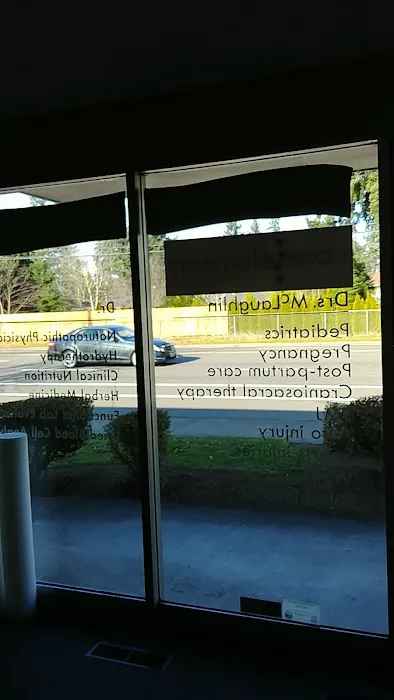 Core Elements Chiropractic and Wellness Picture 7