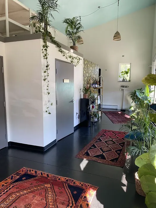 Vida Wellness Studio Picture 9
