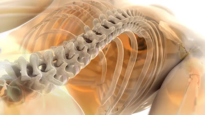 Walsh Chiropractic Picture 3