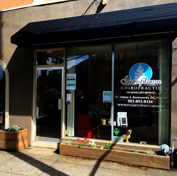 Stumptown Chiropractic Picture 9