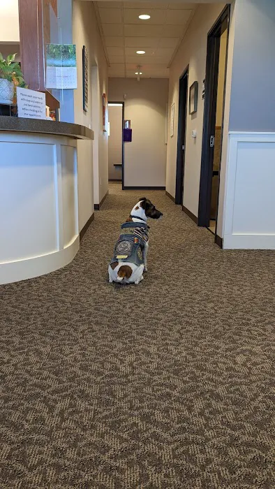 Peak Health Chiropractic Picture 7