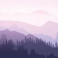 Peak Health Chiropractic ico